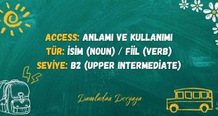 Access: Anlamı ve Kullanımı